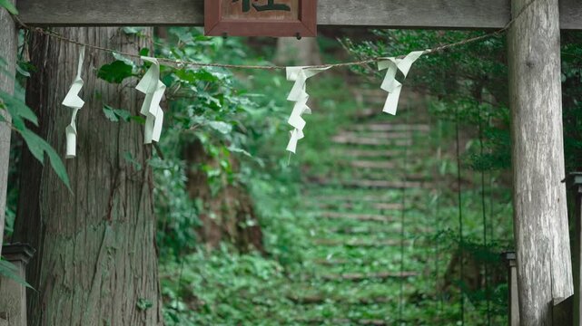 山奥の苔が生えた神社の入口