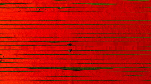 Narsingdi, Dhaka Division, Bangladesh - 19 November 2022: Aerial view of long strips of red fabric laid out to dry on a field with two people walking between them.