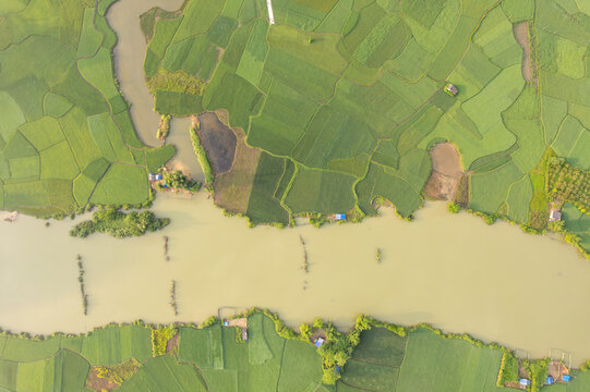 Aerial Rice Fields