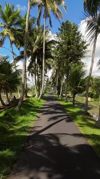 Breathtaking high angle panorama of scenic access road to Tibumana Waterfall in Bangli Bali &ndash; Vivid green rice fields, coconut palm alley and rural countryside, clean commercial background video 4k