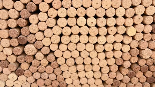 Corks Wine Stoppers Close Up
