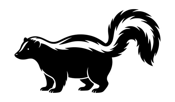 Black and white skunk silhouette animal vector illustration isolated on white