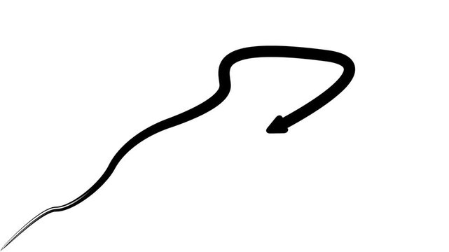 Hand-drawn animated arrow loop, black pointer on white background, for presentation and, motion animation