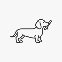 Minimalist black line art vector illustration of a dachshund dog standing and holding a wooden stick in its mouth, profile view of a purebred wiener dog pet animal on a white background.