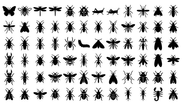 Black Insect Silhouette Icons Vector Collection