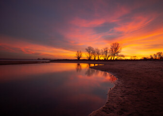 Obraz premium Vivid orange sunset reflected in calm water with bare trees on the shore, Ukraine