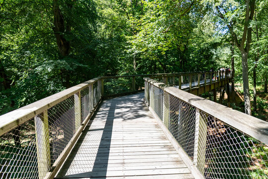Binz, Ruegen, Mecklenburg-Western Pomerania, Germany-July 23, 2026: Curved wooden treetop walkway through green forest