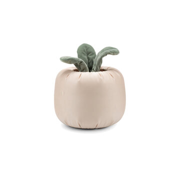 A decorative soft fabric plant in a beige pot isolated on transparent background