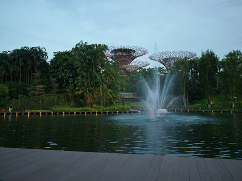 The Supertree Grove across the Gardens by the Bay lake at dusk, Singapore