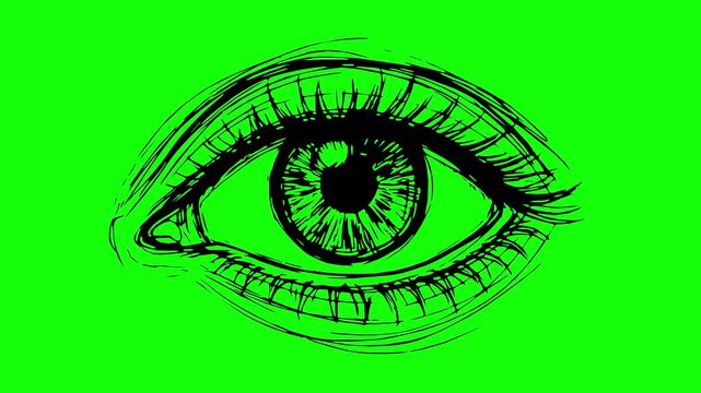 hand drawn style black fill eye animation featuring a line boil effect over a green screen background for easy chroma key removal, ideal for video projects
