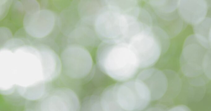 Soft green abstract bokeh background with blurred light circles, creating a fresh, peaceful, and natural atmosphere for creative design and visual projects