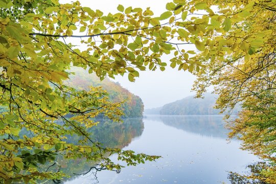 Autumn at Schmale Luzin, lake in Mecklenburg-Western Pomerania, Feldberg Lake District, Mecklenburg-Western Pomerania, Germany