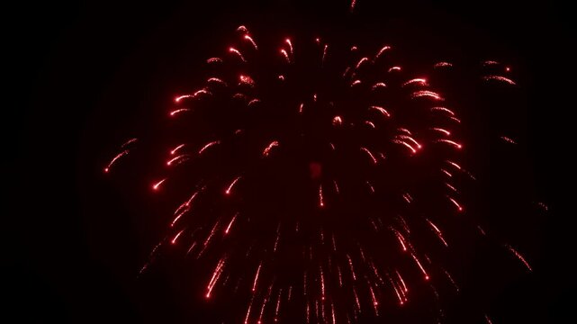 Red firework bursting upward with bright launch trail, layered radial sparks, glowing ember arcs and dark night sky background creating dramatic celebration display