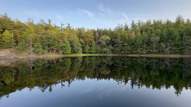 Evergreen Forest reflected in a Calm northern lake