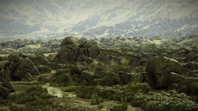 Jagged granite boulders across arid plain, patchy vegetation between stones, layered ridges on horizon, dramatic shadow play for adventure gear and documentary