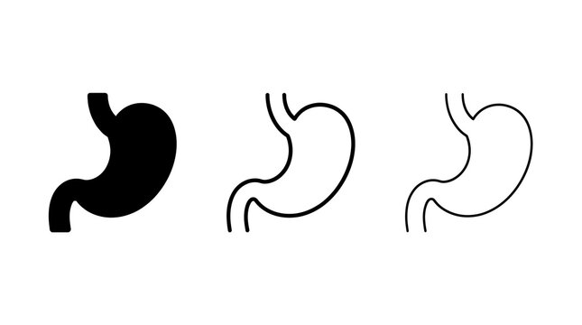 Human stomach icon set isolated on transparent background