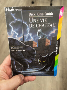 Book Cover of Une Vie de Chateau by Dick King-Smith Featuring Cats
