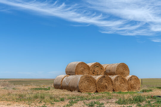 Stacked bales of hay await pickup at a farm