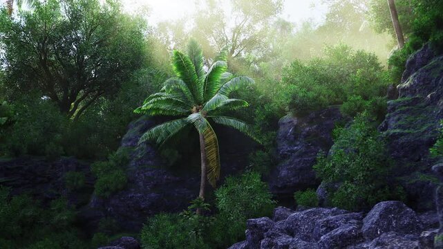 Dawn calm with lone palm and boulders soft diffuse light bathes rugged rock and dewkissed leaves, quiet atmosphere, muted palette and thick undergrowth