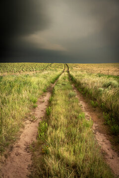 Tire formed dirt track through farmland