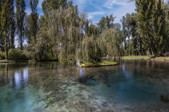 View of the Fonti del Clitunno with a small island, weeping willow trees, and clear water reflecting the blue sky in Campello Sul Clitunno, Umbria, Italy.