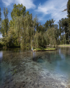 View of the lush weeping willow trees reflecting in the crystal clear turquoise waters of the Fonti del Clitunno in Campello Sul Clitunno, Umbria, Italy.
