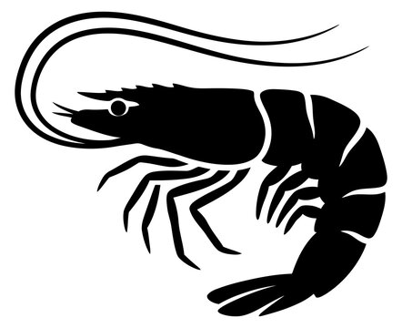 Black silhouette of a shrimp