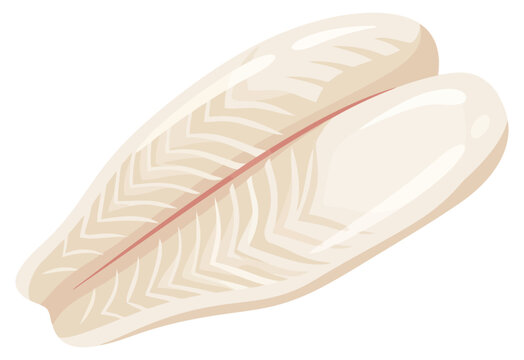 Raw white fish fillet