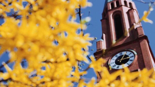 St. Johann Baptist Kirche mit bl&uuml;henden Weidenbaum im Fr&uuml;hling in M&uuml;nchen