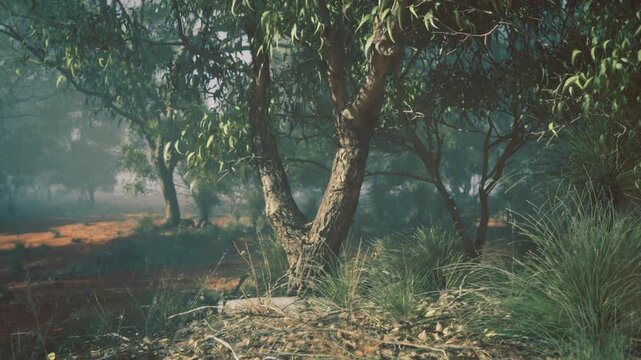 Tealtoned woodland with textured bark patterns and moody light, atmospheric haze delivering cinematic color grading, layered foliage and dramatic shadow play