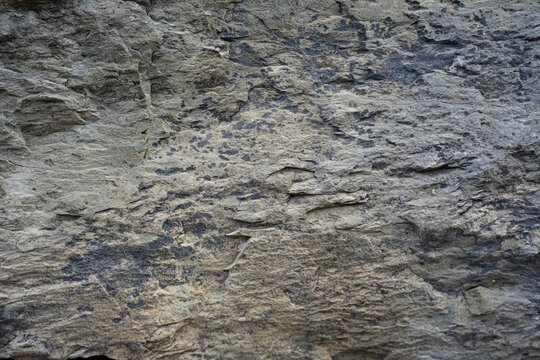 Natural gray stone surface texture background