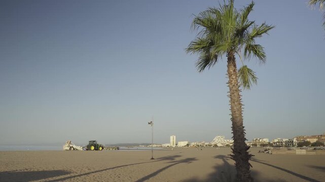 France, Valras Plage 08.08.2026 &mdash; Palm Tree and Tractor Cleaning Sandy Beach near Calm Sea at Morning Resort