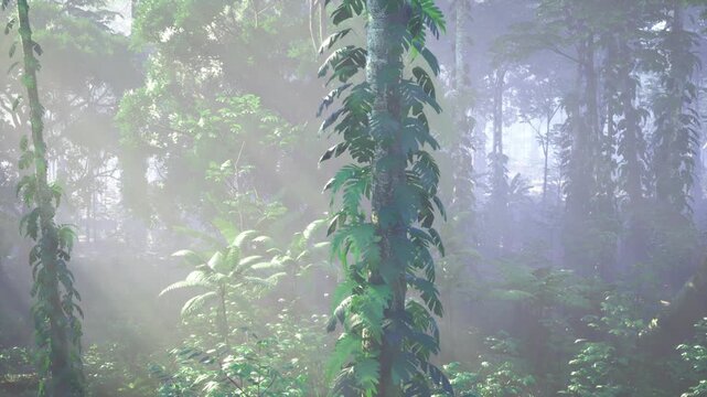 Mistladen Malaysian rainforest vine infocus, liana wrapped around slender trunk, dappled sunlight through fog, moss textures and dense green foliage, serene