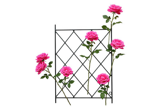 Pink flowers climbing on a decorative metal trellis structure