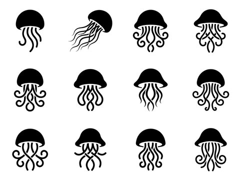 Minimalist jellyfish icon set, black silhouette sea life illustrations, 12 aquatic medusa symbols for marine branding and web design