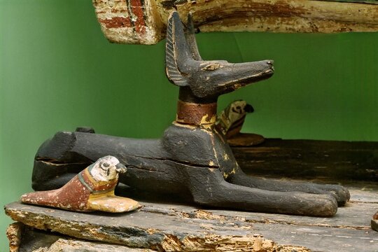 Carved wooden statue of Anubis, the ancient Egyptian jackal-headed god, displayed reclining in a museum glass case alongside a falcon amulet and a painted sarcophagus corner