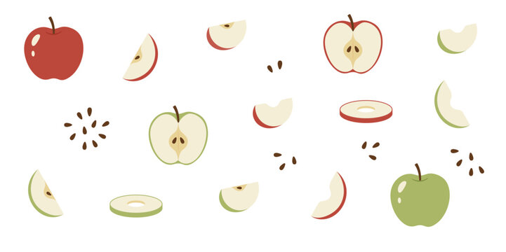 hand drawing apple sliced and full illustrarion set
