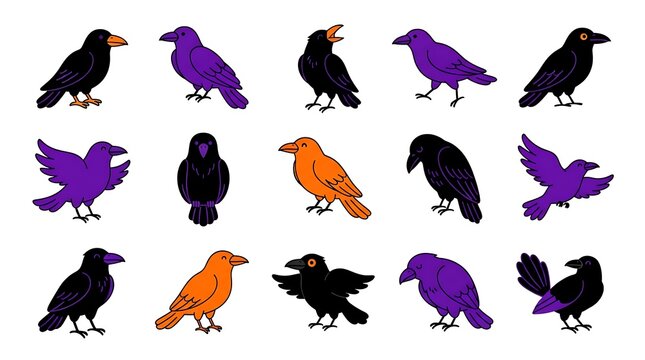 Set of hand drawn raven and crow illustrations in black purple and orange colors for halloween design