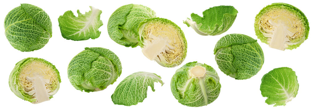 savoy Cabbage isolated, full depth of field