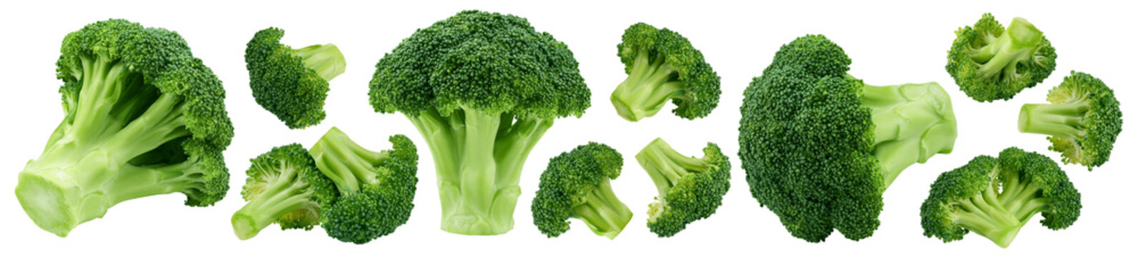 Broccoli isolated, full depth of field