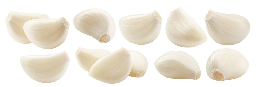 garlic, isolated, full depth of field