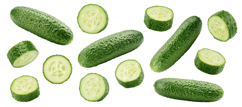 Cucumber isolated, full depth of field