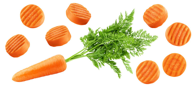 Carrot isolated, full depth of field
