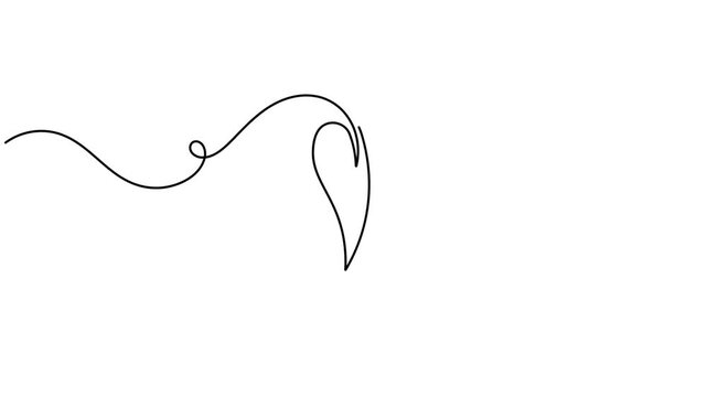 Natural medicine and herbal capsule pill icon sign continuous one line drawing moving on white background animation video