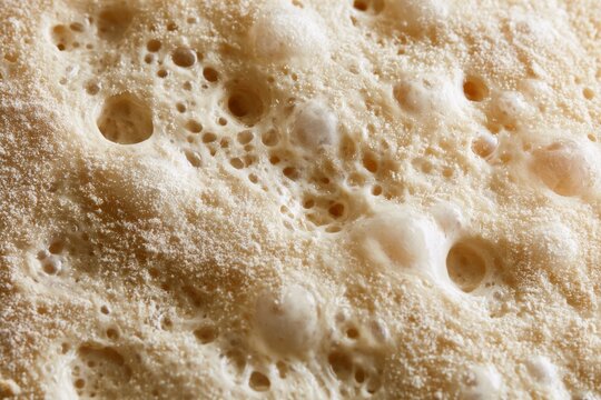 Yeast fermentation process for bread making in a kitchen setting