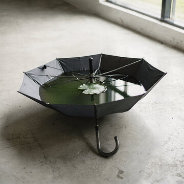 Upturned Black Umbrella Holding Still Pond Water and a Lily Pad