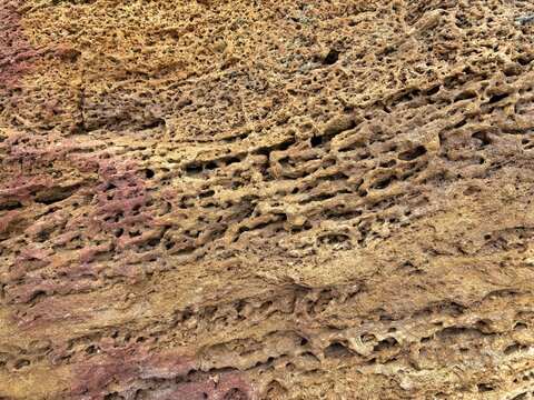 A macro close-up of a natural porous limestone surface with a rugged, weathered texture. The organic pattern showcases earthy ochre and brown tones