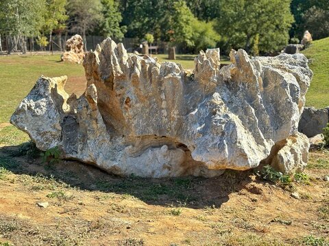Picturesque rocky landscape with natural stone formations and greenery in an outdoor park, Ukraine.