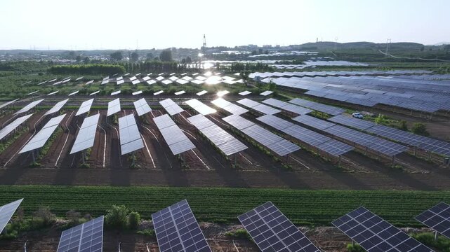 Large scale photovoltaic power station array captured during sunrise with solar panels aligned in orderly rows