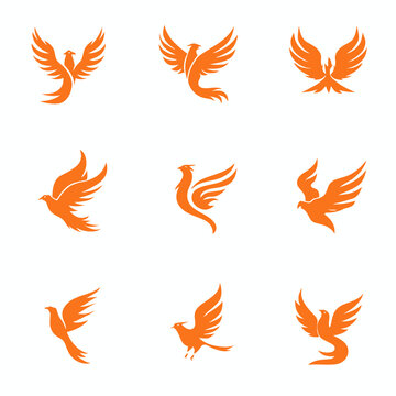 Set of nine abstract orange flying phoenix bird logos and eagle icons, vector graphic design elements representing power and freedom